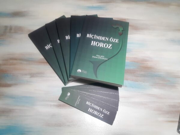 Biçimden Öze Horoz - Şeyma Çölgeçen