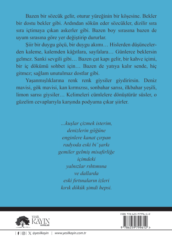 Nasıf Acar - Kuşlar Çizmek İsterim