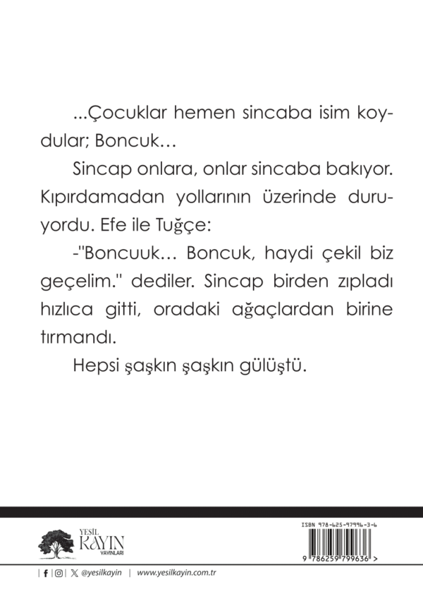 Gülsüm Çelikten - Efe'nin Hayali