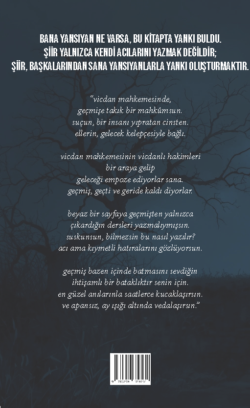 Özgür Çündü - Yansının Yankısı