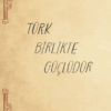 Yeşil Kayın | I. Sayı - "Türk"
